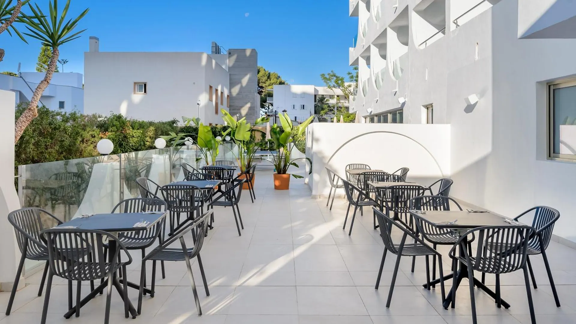 Hotel Vibra Palma Cactus Playa de Palma  Spain